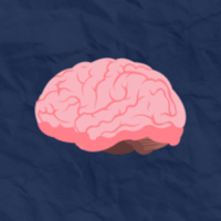 Image de couverture: Article 1